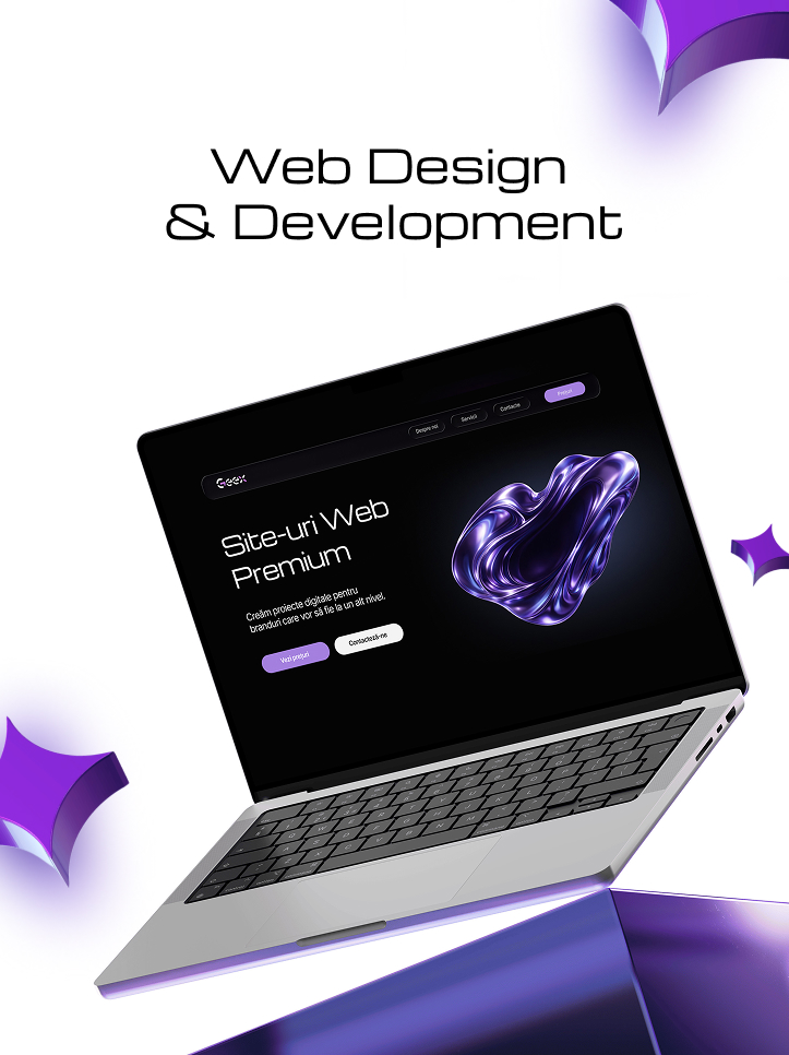 Exemplu website 1