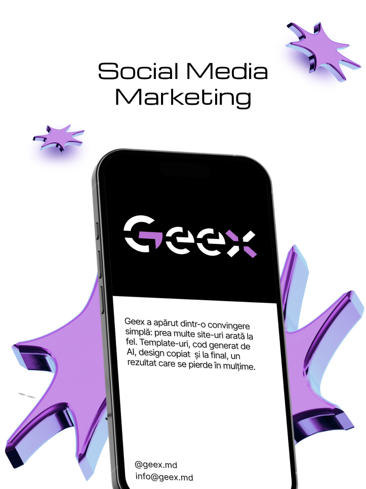 Exemplu website 2