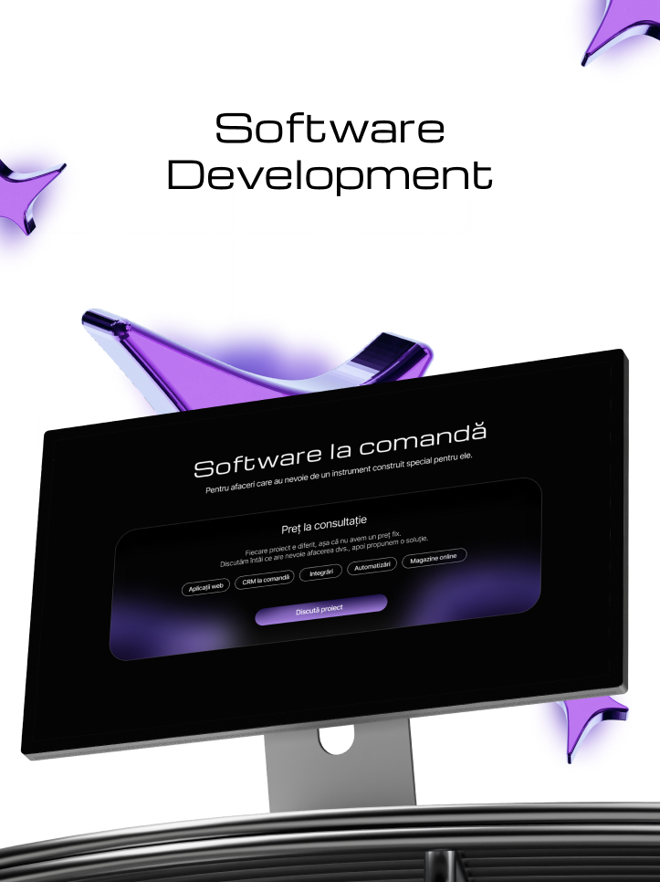 Exemplu website 3